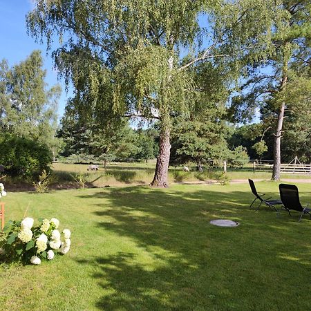 Forsthaus Zartwitzer Huette Apartment Rechlin Luaran gambar