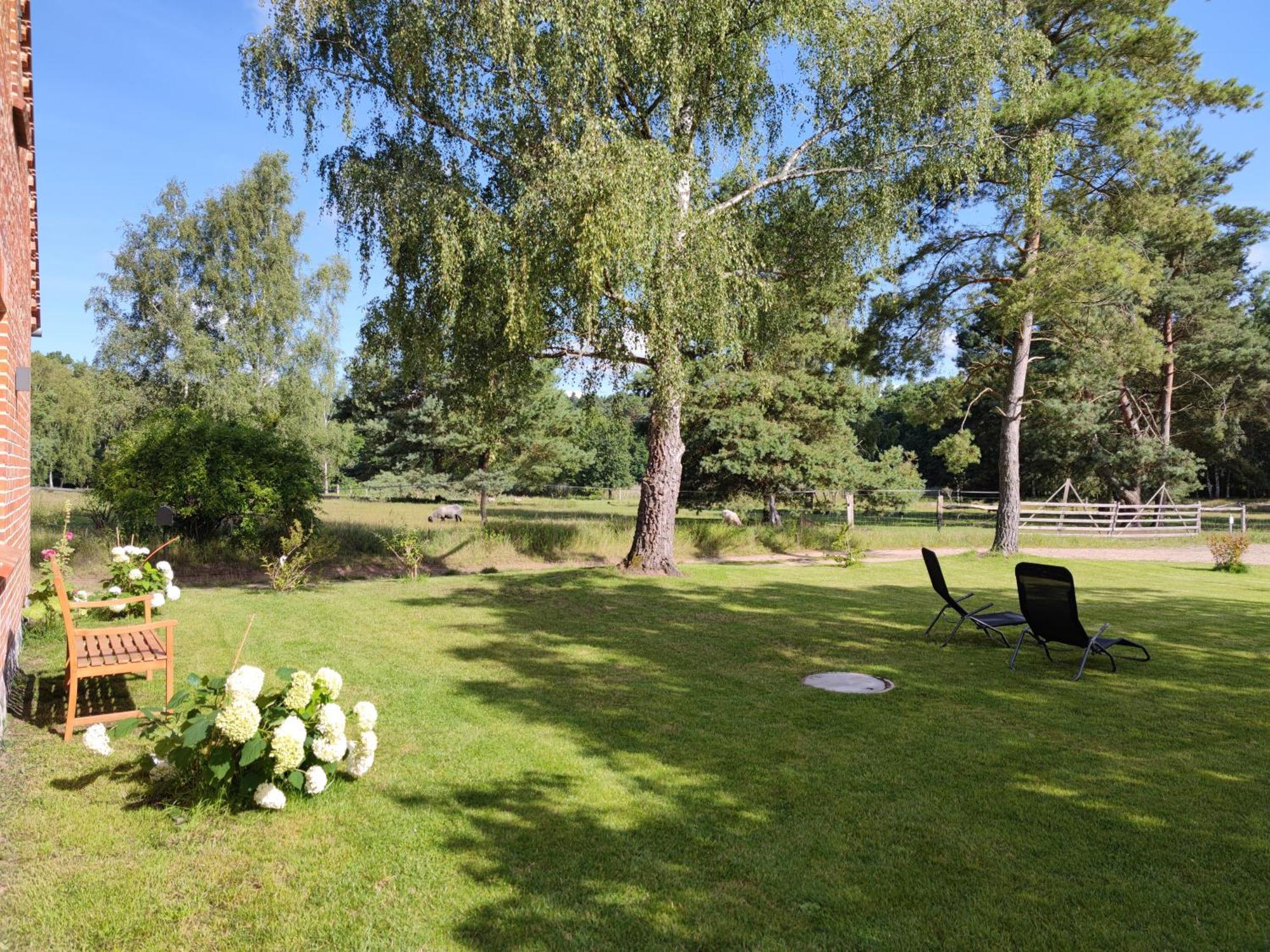 Forsthaus Zartwitzer Huette Apartment Rechlin Luaran gambar